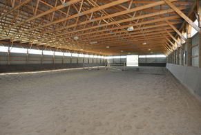 Interior of Arena - Country homes for sale and luxury real estate including horse farms and property in the Caledon and King City areas near Toronto
